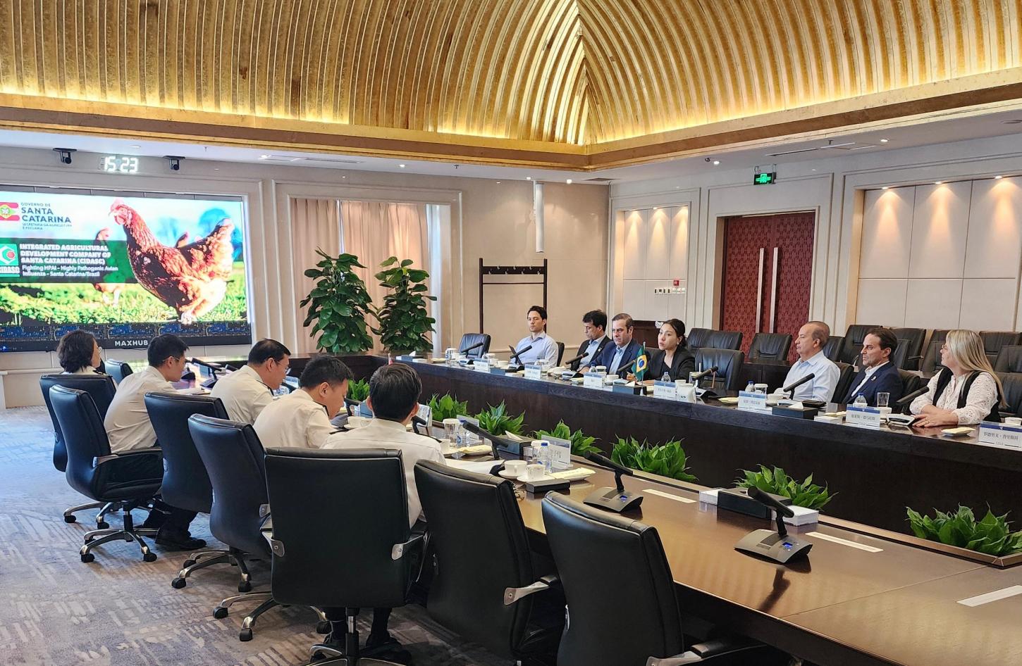 Jorginho Mello pede à China a retomada das exportações de frango de Santa Catarina