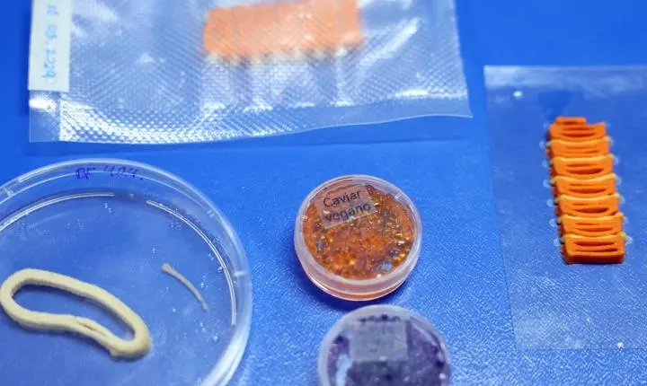 Embrapa produz em laboratório salmão, caviar e anéis de lula veganos